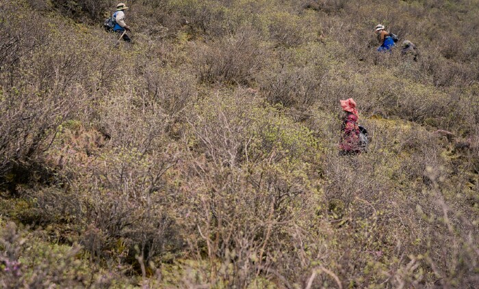 秘境藏北 (第二卷)