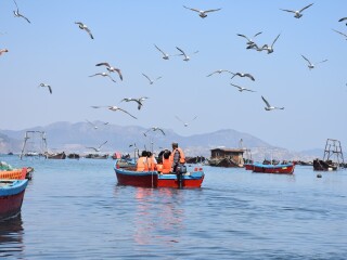 大連旅游組團(tuán)_跟團(tuán)大連旅游價(jià)格表_旅游去大連