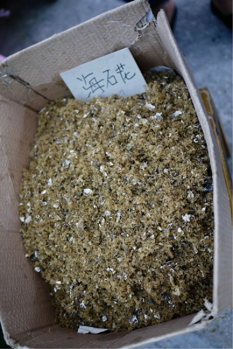 下面这个海石花建议不要尝试,会有人泡成