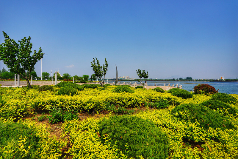 沭河湿地公园          