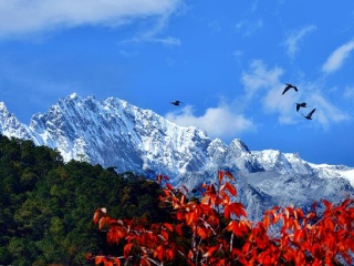 云南玉龍雪山旅游團(tuán)_云南玉龍雪山高端品質(zhì)旅游團(tuán)_云南玉龍雪山旅游花多少錢