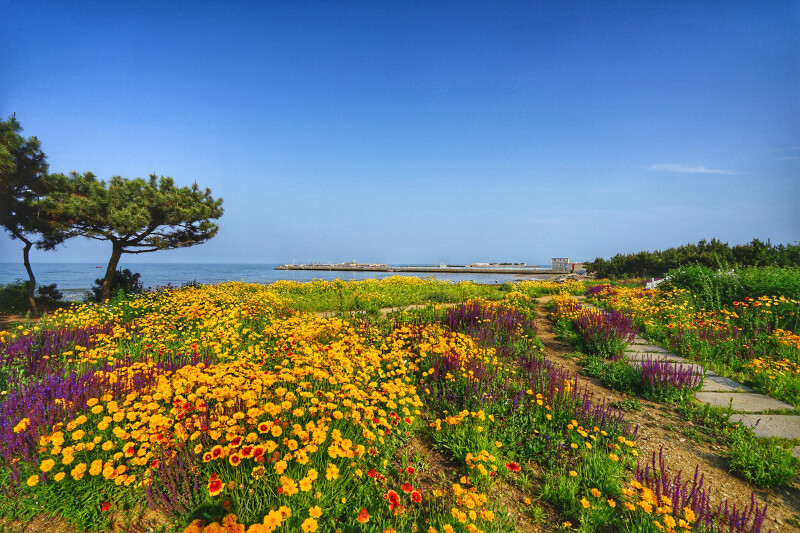 日照桃花岛风情园          