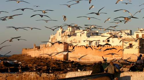 [国庆] 摩洛哥10日游 土耳其航空\/北京直飞\/三大