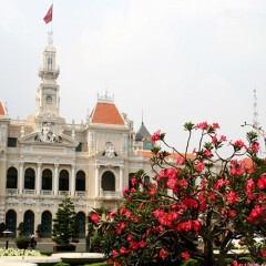 活动模块 