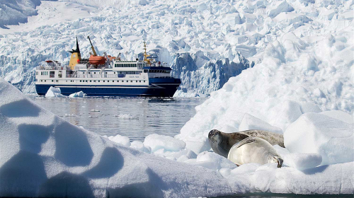 [春节] 南极半岛+智利15日游 智利飞机直飞南极