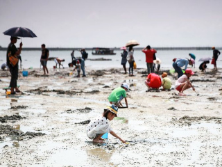 廣西巴馬最佳旅游路線_廣西巴馬旅游要多少錢2021_特價廣西巴馬游