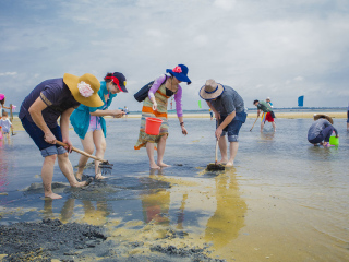 廣西巴馬最佳旅游路線_廣西巴馬旅游要多少錢2021_特價廣西巴馬游