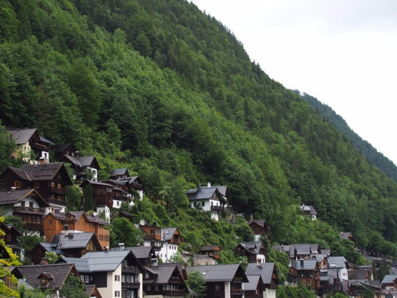 克鲁姆洛夫的房屋大部分是木屋,均依山而建.