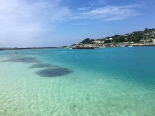 去日本旅游团多少钱_纯日本旅游_去日本旅游得多少钱