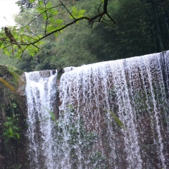 贵州赤水四洞沟飞蛙崖瀑布_2195