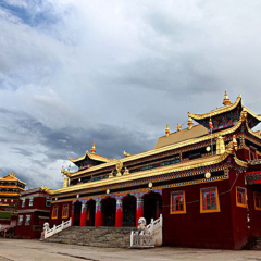 活动模块 