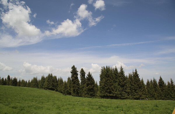 鲁木齐穿衣指南_冬天去乌鲁木齐穿什么衣服_