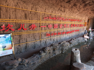 深圳到新疆旅游团报价_新疆旅游报团价格_新疆旅游签证