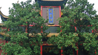 十二月去仙桃穿衣指南_十二月去仙桃穿什么衣服_十二月去仙桃天气温度