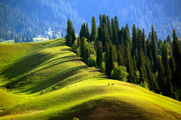 十一月去新疆必备物品_十一月去新疆旅游需要