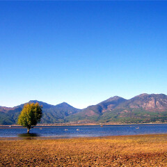 拉市海 景点模块