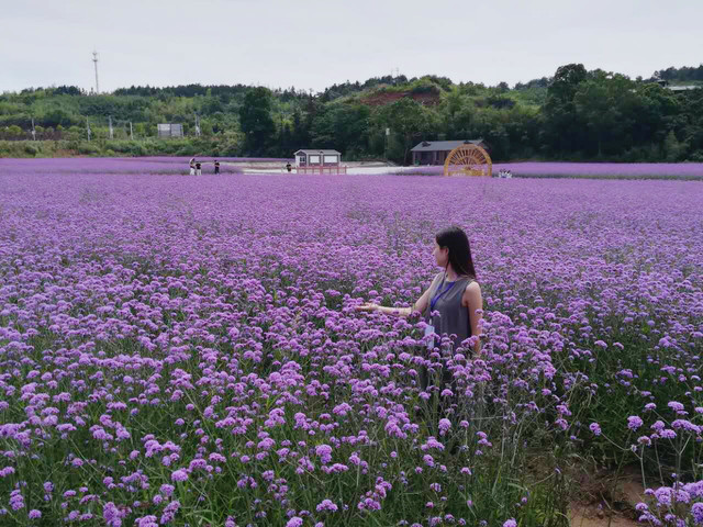 花千谷