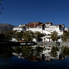 拉萨龙王潭公园_2102