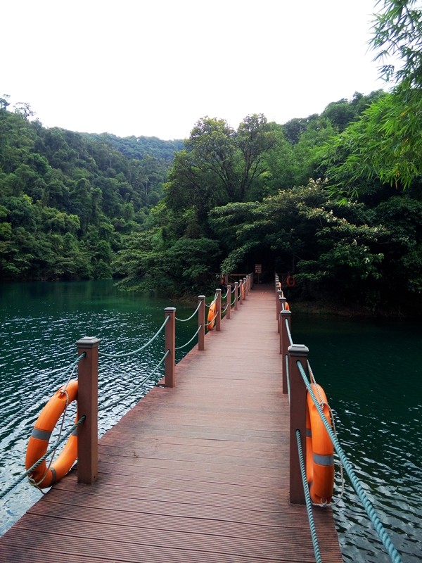 广东 鼎湖山游记