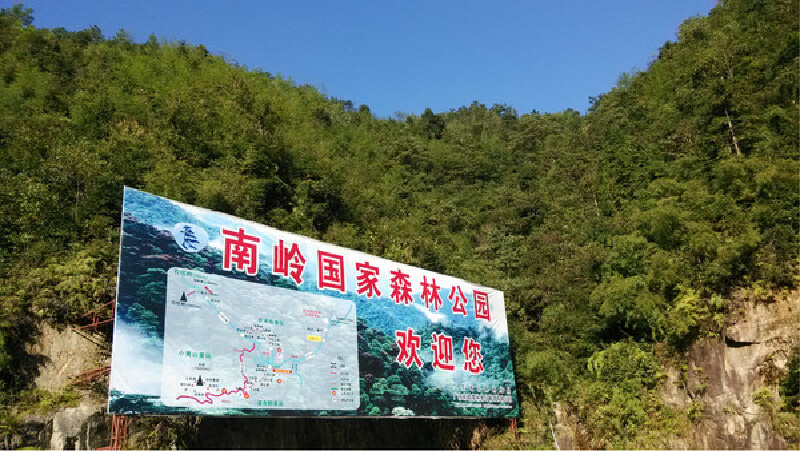 南岭国家森林公园游记