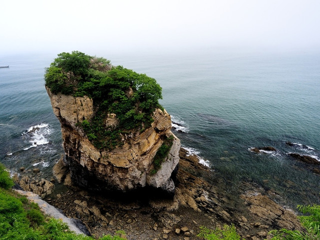  大连-旅顺白玉山-圣亚极地海洋馆-金石滩双高4日游>0