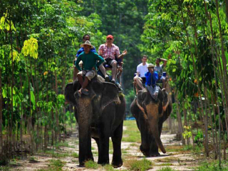 泰國曼谷旅游報團價格_去泰國曼谷報團多少錢_泰國曼谷報團多少錢