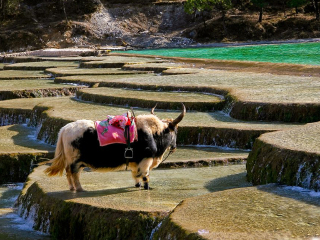 到云南麗江旅游報團(tuán)價格_跟團(tuán)旅游網(wǎng)云南麗江_游云南麗江的價錢