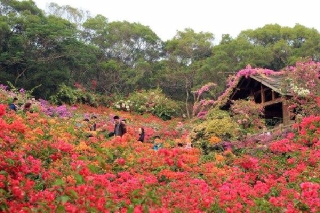 厦门旅游十大必去景点