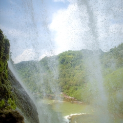 贵州省安顺黄果树_644