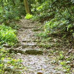 中国南方山间的石板路_328