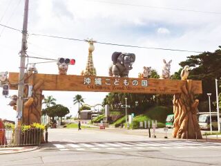 去日本旅游团多少钱_纯日本旅游_去日本旅游得多少钱