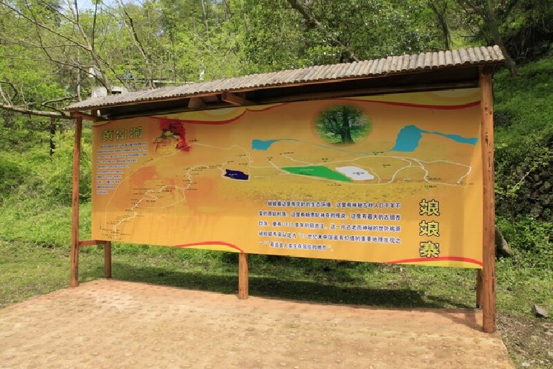 带着爷爷奶奶探秘世界长寿之乡-钟祥,长寿养生