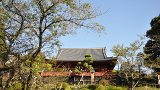 元旦去东京穿衣指南_元旦去东京穿什么衣服_元旦去东京天气温度