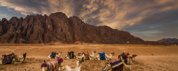 六月去埃及旅游是否推荐_六月去埃及旅游穿衣