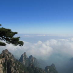 景点模块 