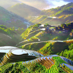 景点模块 