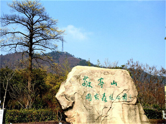 ͤɽ羰