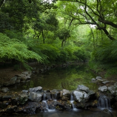 九溪十八涧_7515