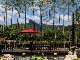 福建武夷山游價(jià)格_福建武夷山旅游價(jià)格多少_香港旅游團(tuán)福建武夷山