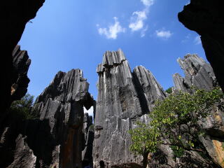 丽江旅游9日游_去丽江旅游网站_赴丽江旅游价格