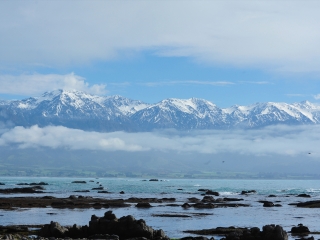 到新西蘭旅游報(bào)團(tuán)價(jià)格_去新西蘭靠譜的旅行團(tuán)_新西蘭自由行費(fèi)用
