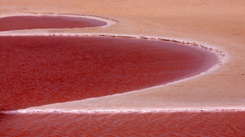 摩洛哥+突尼斯12日游 武汉法航直飞,畅游卡萨