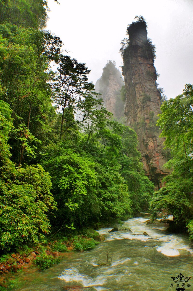 皇家加勒比#张家界武陵源,人间仙境,绝版美景