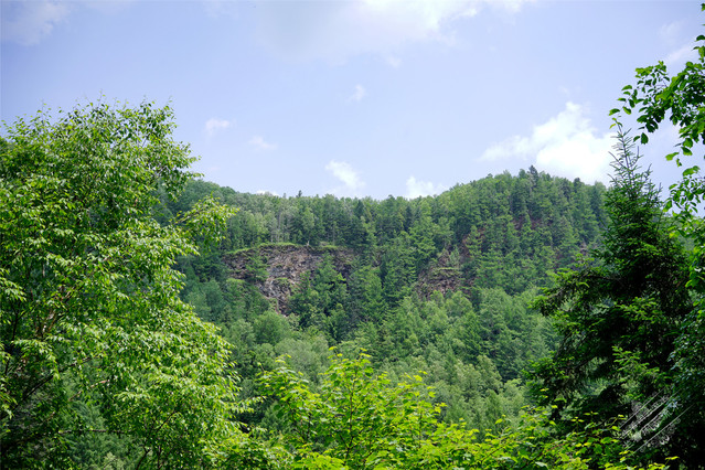 火山口国家森林公园     