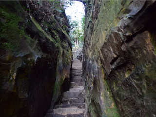 去湖南張家界旅游要多少錢_去湖南張家界旅游多少錢_去湖南張家界旅游怎么走