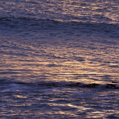 黄金、日落、上面、水、毛伊岛、夏威夷_12965
