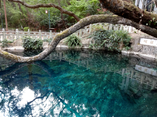 云南香格里拉旅行跟團(tuán)_去云南香格里拉游要多少錢
