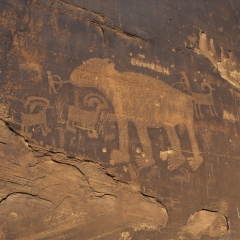 印第安、美洲印地安人、岩石艺术、靠近、犹他、美国_13396