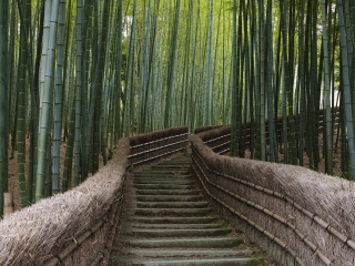 去日本旅游多少錢(qián)_日本私人定制旅游_國(guó)慶日本游價(jià)格