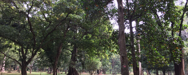 北京适合4岁宝宝玩的地方_北京适合带4岁宝宝